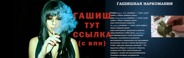 твердый Абаза