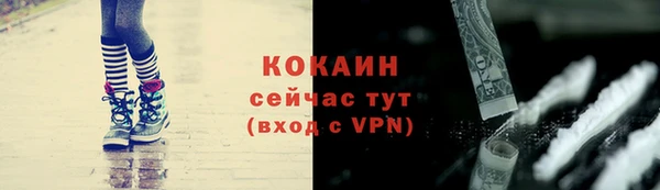 твердый Абаза